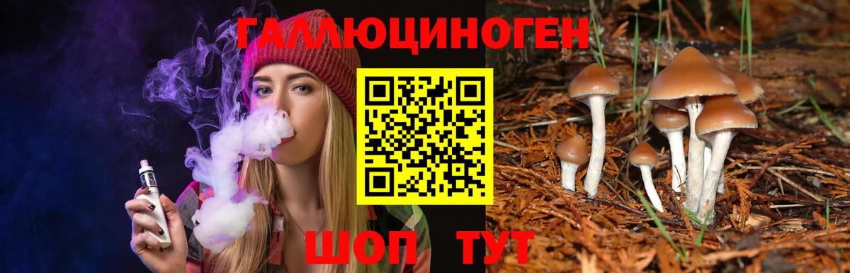 Псилоцибиновые грибы Psilocybe  Вход с VPN  Тула  Галлюциногенные грибы Psilocybe 